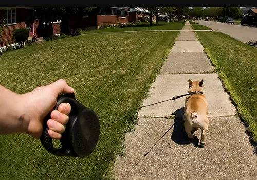 Coleira Guia retrátil para cachorro